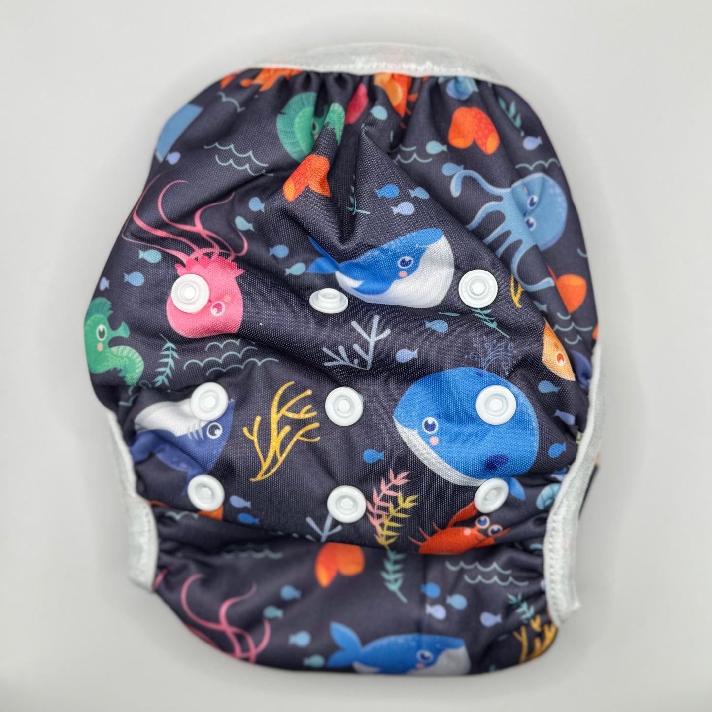 Zwemluier Sea Animals