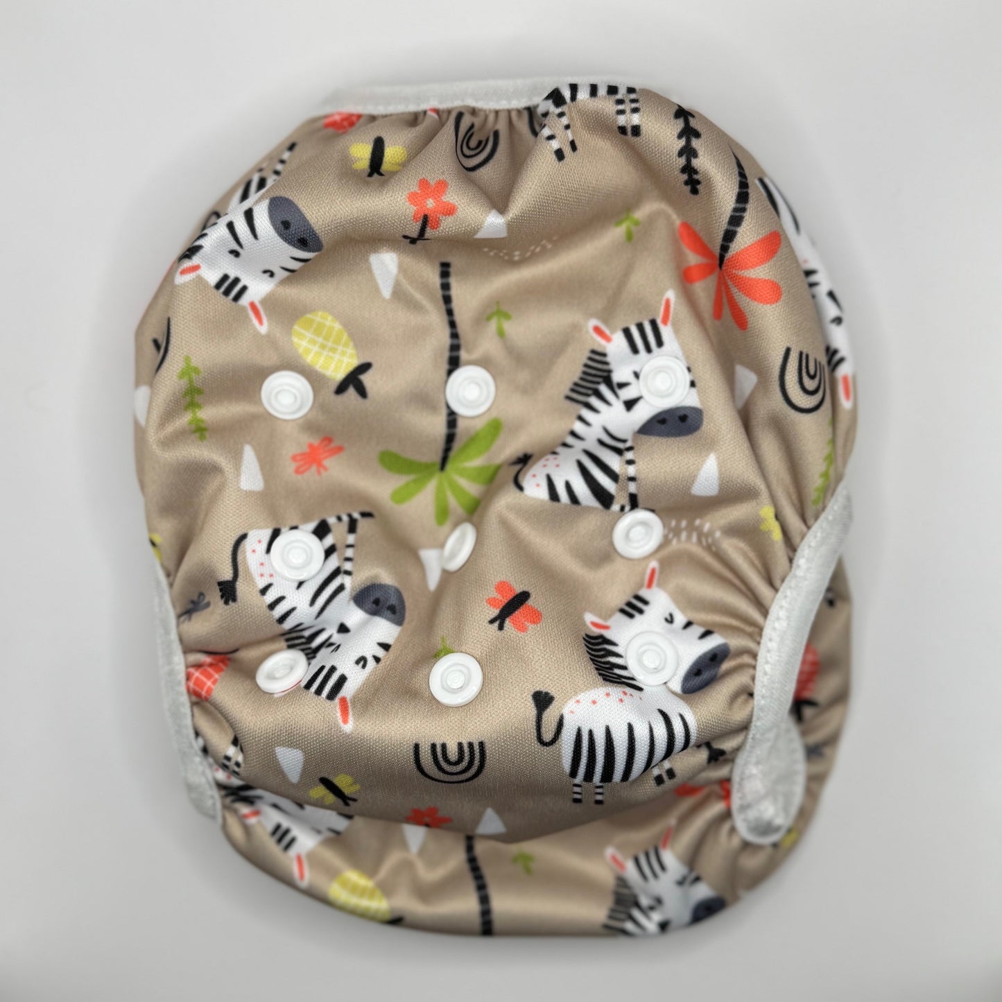 Zwemluier Zebra