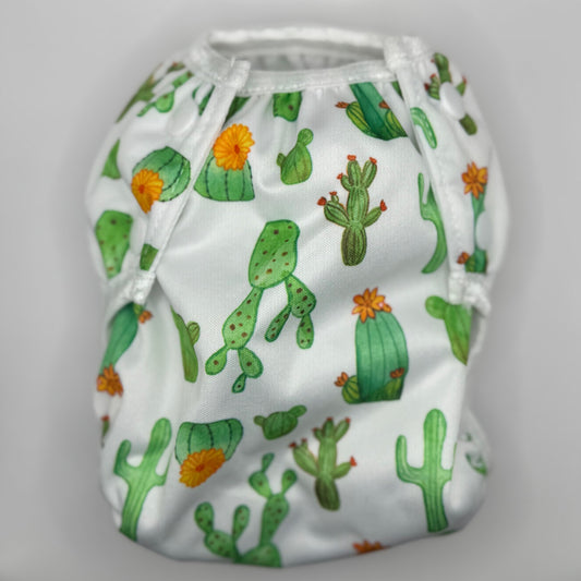 Zwemluier Cactus